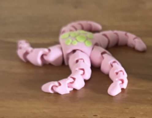Flexi- Krake